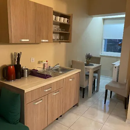 Apartment Alina Studio Joy Life Costinesti